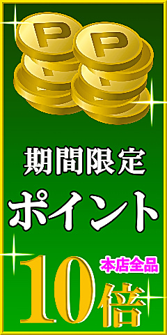 梅雨時期の洗車・コーティング・愛車お手入れを応援！ハイブリッドナノガラス本店サイトでは全品対象でポイント10倍！