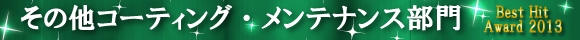2013年ランキング〔その他コーティング・メンテナンス部門〕