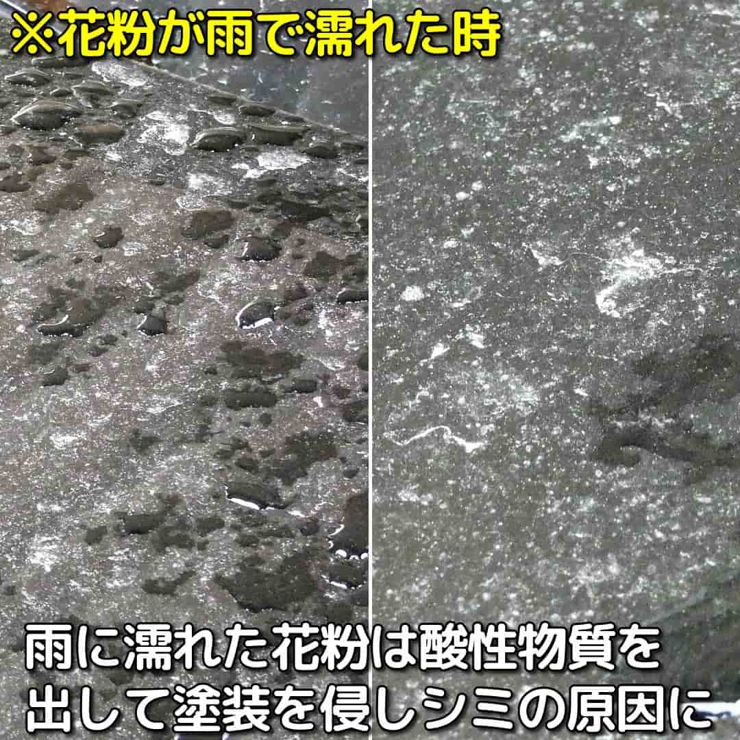 車の花粉汚れが雨で濡れるともっとタチが悪い！酸性物質を出してクリア・塗装を侵食し、簡単には落とせないシミになってしまう場合も