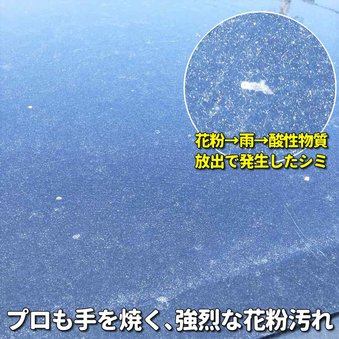 花粉は雨に濡れると割れて酸性物質を放出し、塗装を侵してシミ化する危険があり、プロも手を焼いている困った車汚れなのです