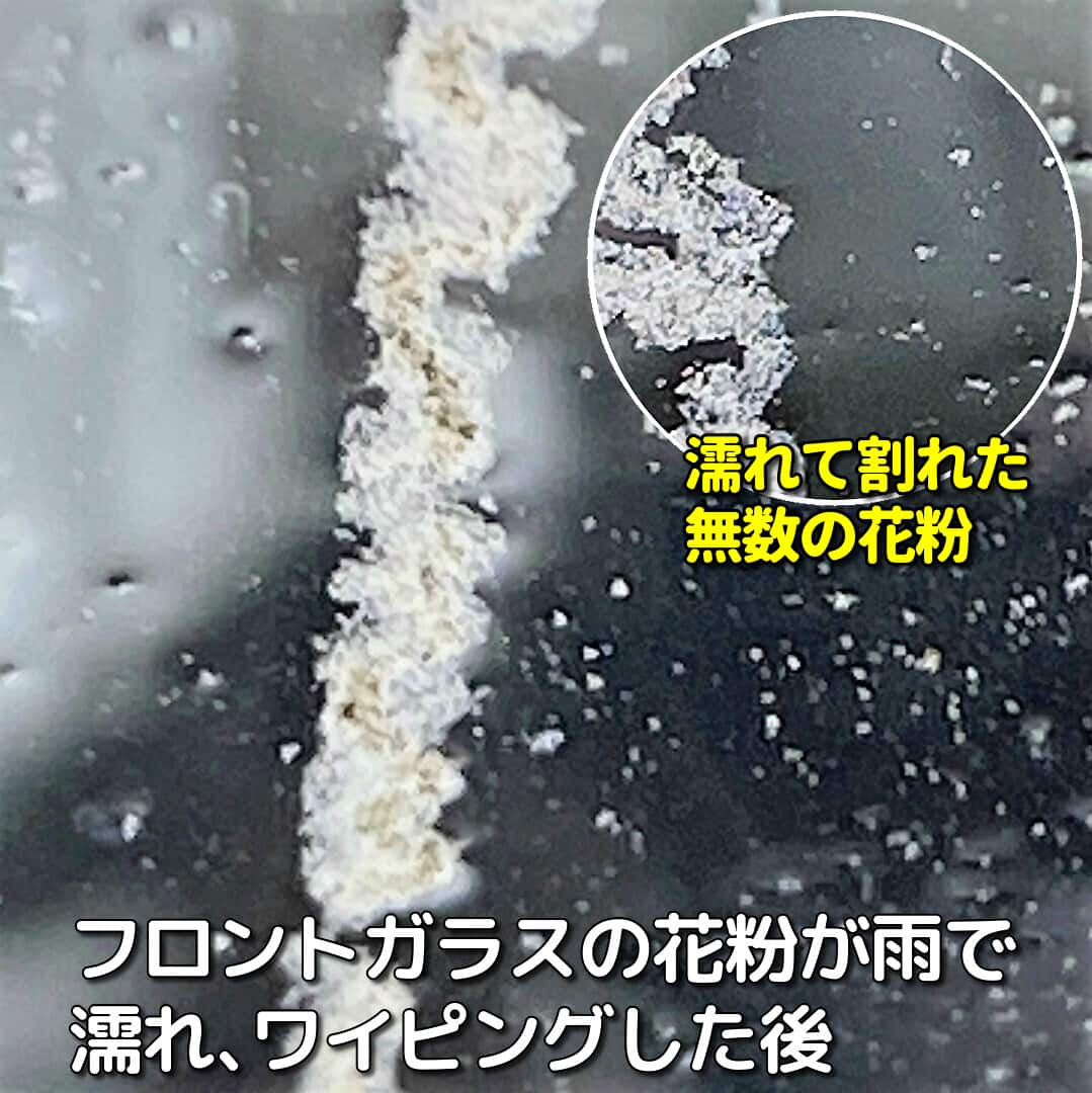 フロントガラスについた大量の花粉が雨で濡れた後、ワイパーをかけた状態。無数の濡れた花粉が割れて雨の中漂っているのが分かります