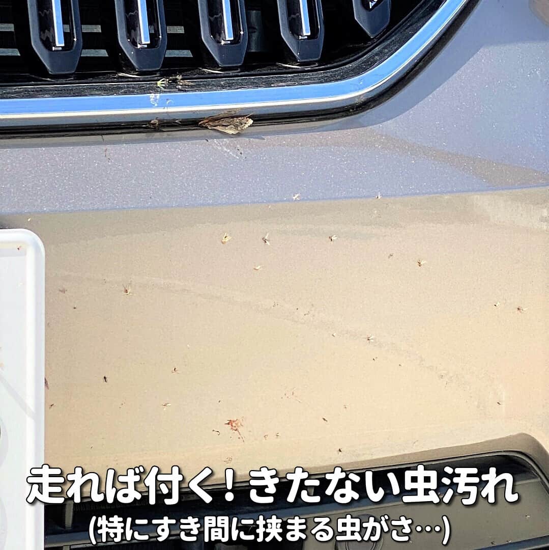 行楽時のドライブで、特に高速で走行した時には必ず付着するクルマの虫汚れは最も困った車汚れの１つ。汚いしすぐに洗車しないと大変！