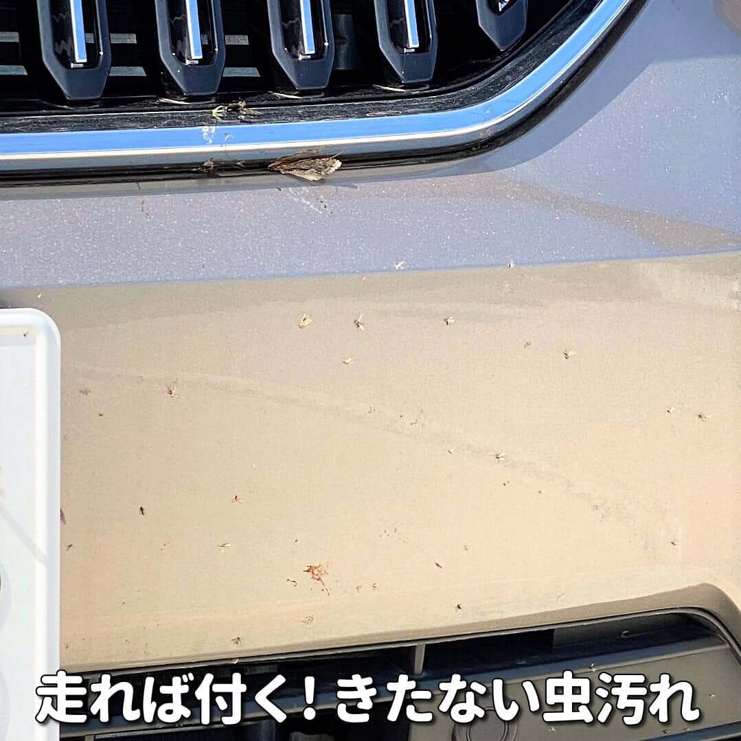 特に高速道路を走行すれば必ずついてしまう虫汚れや、放置すると深刻なシミになる鳥フン汚れは専用の洗車用品・ボディクリーナー推奨