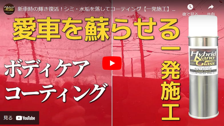 新車時の輝き復活！シミ・水垢を落してコーティング【一発施工】クリーナー&コーティング効果／クリーナーコーティング剤イージス