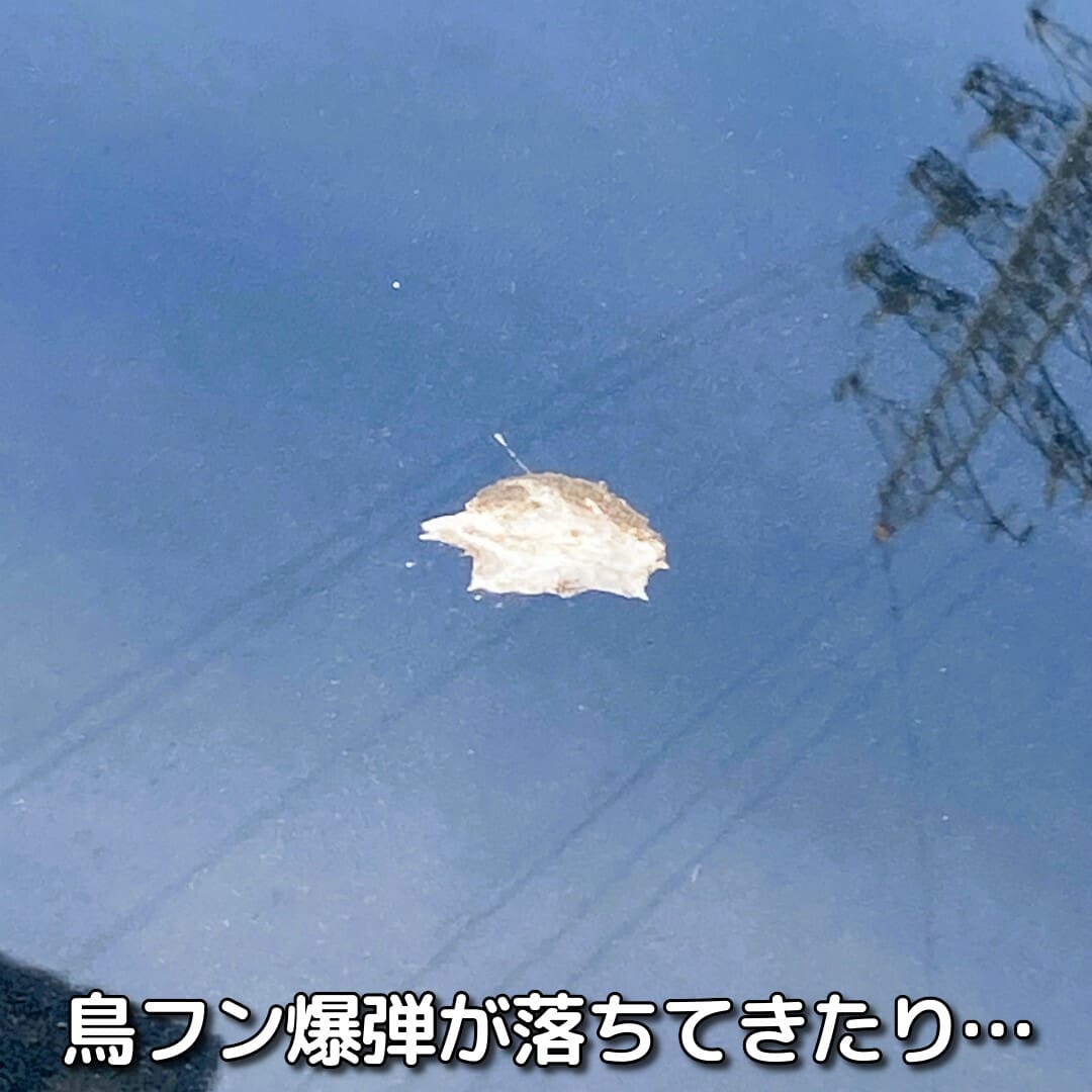 車のボディへのダメージとしては最も危険性の高い汚れの1つが「鳥フン」。虫の死骸以上に一刻も早く落とすのがベターです