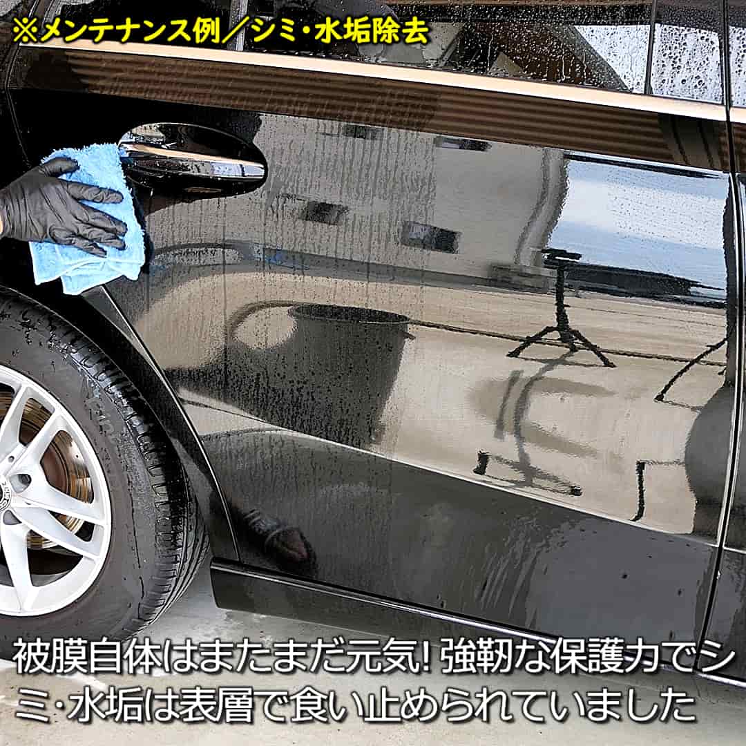 PTGメンテシミ取り10