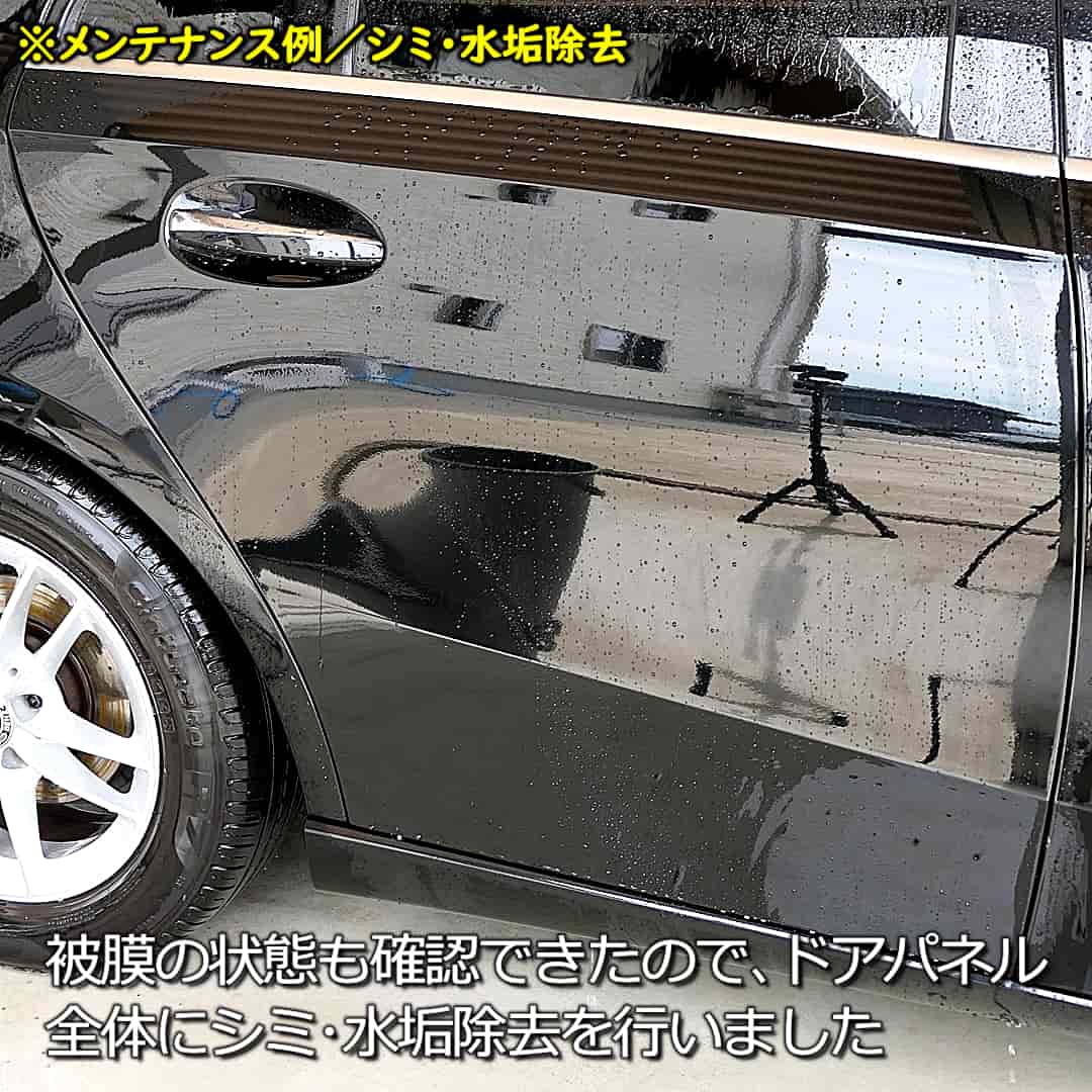 PTGメンテシミ取り11