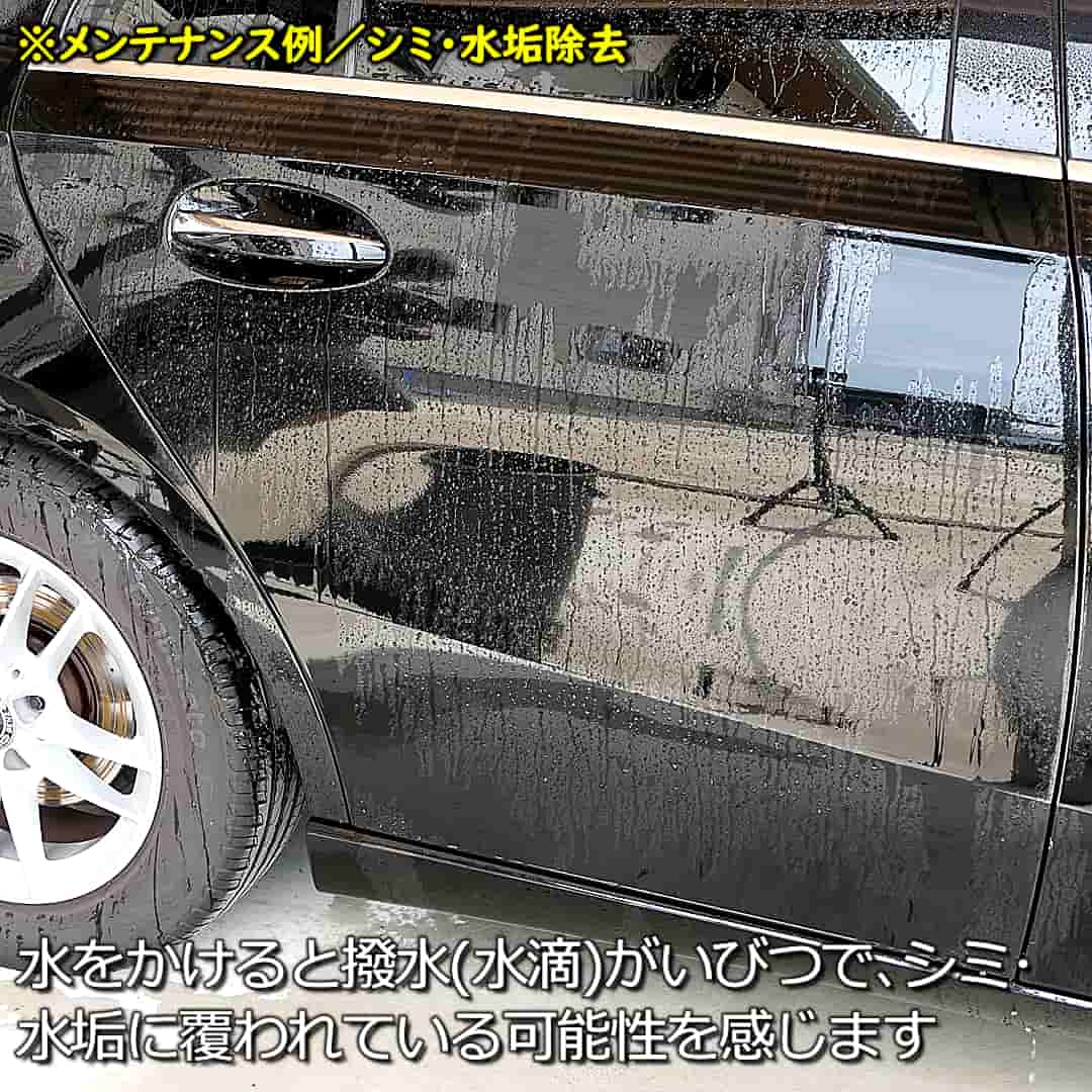 PTGメンテシミ取り2