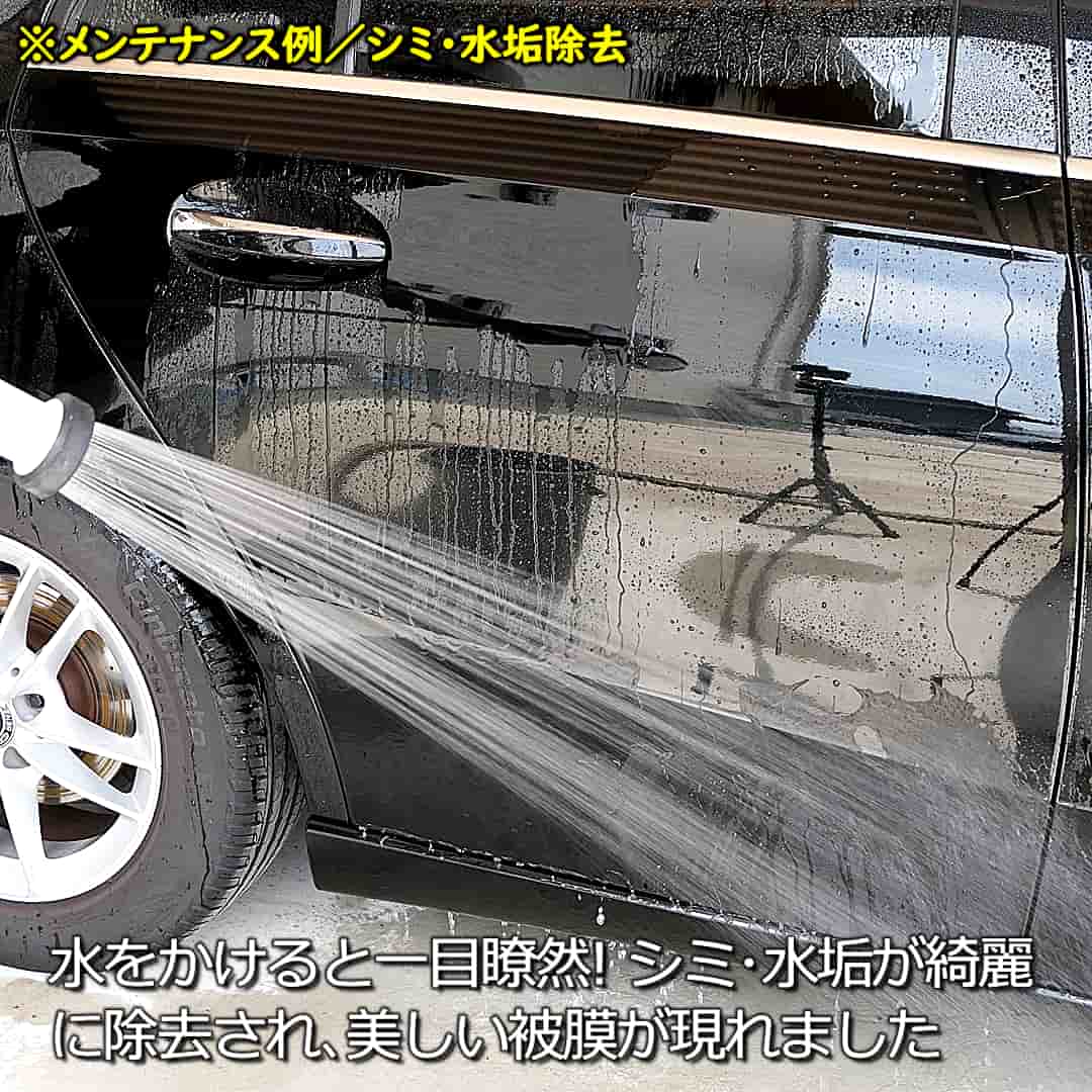 PTGメンテシミ取り8