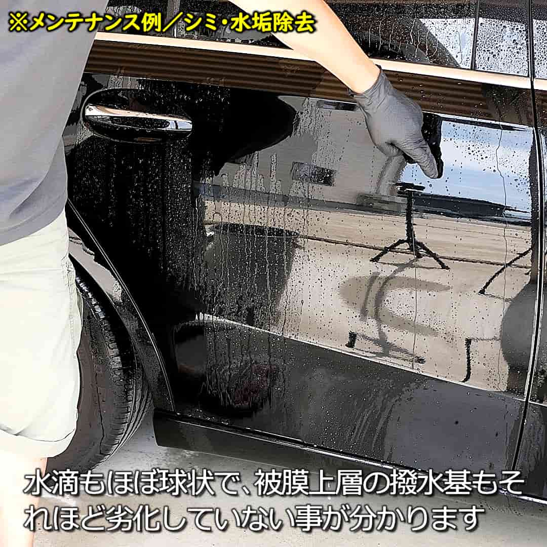 PTGメンテシミ取り9