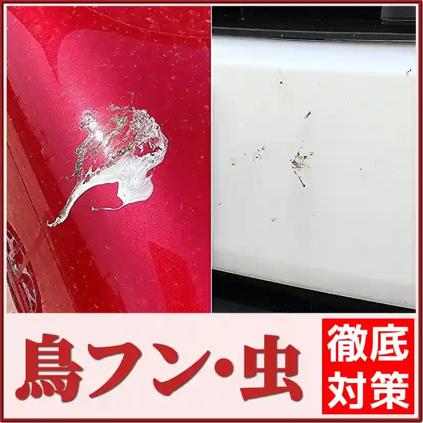 鳥フン・虫汚れを落とす！鳥糞・虫の死骸から保護する！愛車のボディに付く鳥ふんや虫汚れによるシミを落とし保護するカーケア用品