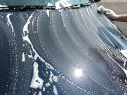 マイルドケアシャンプーでボンネット部分をやさしく洗車。