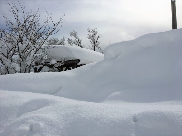 これもいい感じですが、、、じつは用水沿いの休憩スポットの屋根付近まで除雪された雪が積み上がってる光景です