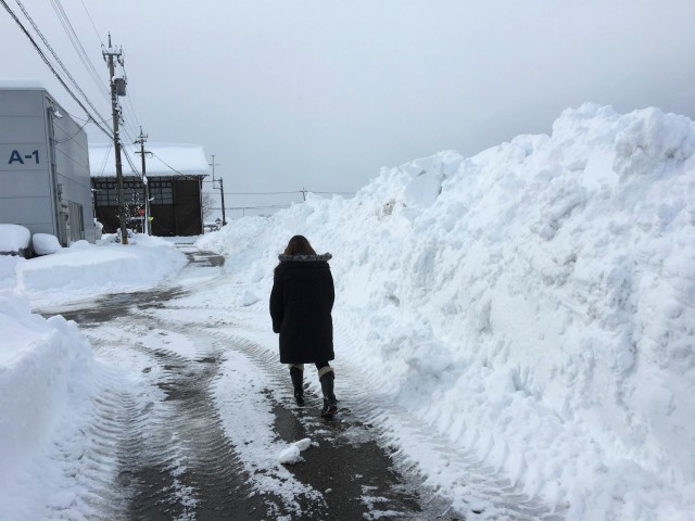 除雪車が繰れば除雪が終わりでなくて、その後多くの部分を手作業で雪かきしなくてはなりません。雪の壁の中を疲れ果てて歩く女子社員