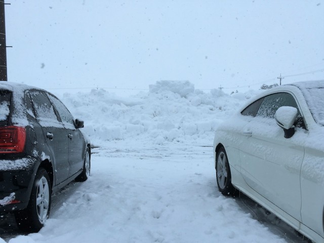 そしてまた雪は除雪しても除雪しても降り積もる