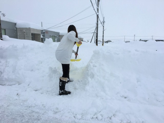 近くの道路だけはサッと除雪してあったので、そこから会社までの通り道を当店の女子社員がスコップで建設中でした