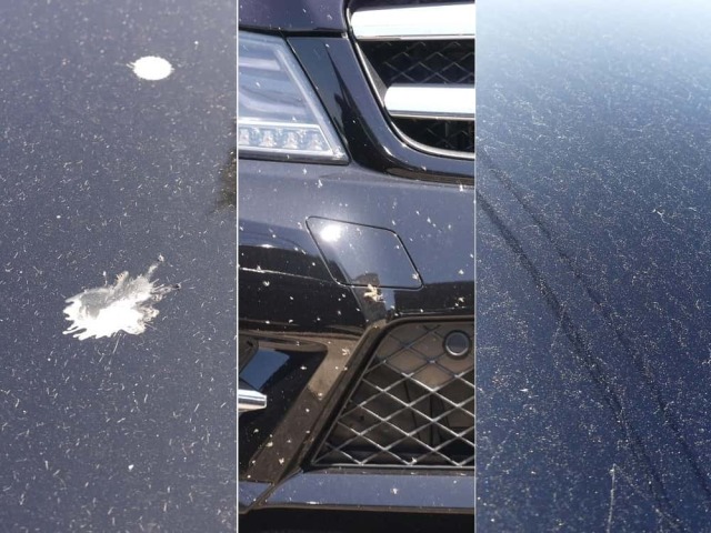 車のシミの原因！虫汚れ・鳥フン汚れ・花粉汚れを浸透して落とす！ハイブリッドナノガラスの虫汚れ・鳥フン・花粉クリーナーは効果抜群
