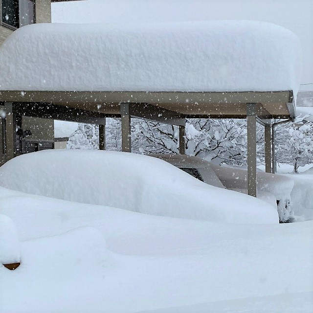 令和4年の大雪