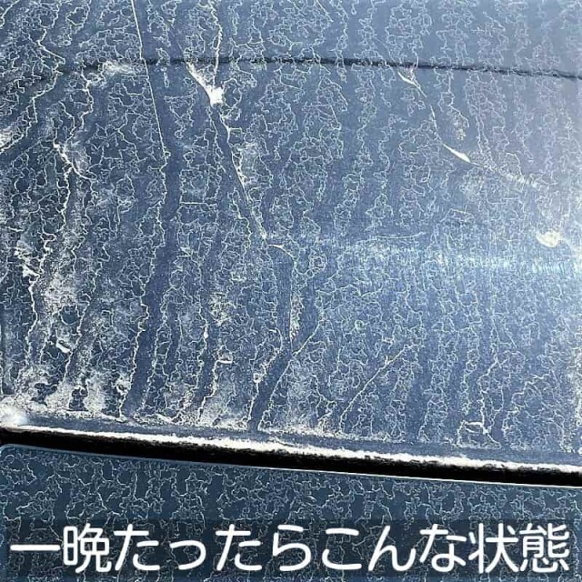 黄砂がビッシリの車のガラスやボディ。一晩たつと水分を含んで粘土のようになり、水洗いだけではきれいに落ちない状態