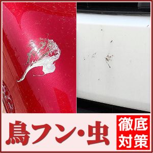 クルマの樹脂パーツ専用コーティング 樹脂の保護と劣化 白化 対策に最適 車の樹脂の光沢を復活させ黒々した美しさを保護 ベタベタしない硬化系樹脂コーティング 樹脂専用コーティング クルマの樹脂パーツ専用コーティング 樹脂の保護と劣化 白化 対策に最適 車の樹脂の光沢を復活させ黒々した美しさを保護 ベタベタしない硬化系樹脂コーティング 樹脂専用コーティング