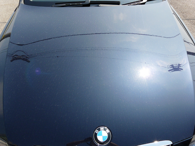 シャンプー洗車前のＢＭＷボンネット、正面