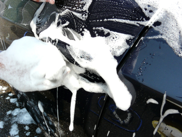 コーティング車用シャンプー『マイルドケアシャンプー』の洗車風景、側面アップ