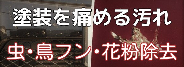 クルマのボディ(塗装)を痛める虫汚れ・鳥フン・花粉などのタンパク質の汚れは深刻なダメージになる前になるべく早く落とすのが肝心