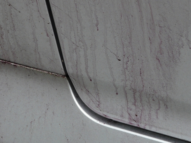 車の塗装に刺さった鉄粉と鉄粉除去剤が反応して紫色に変化した部分接写