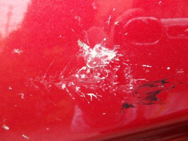 鳥フン 虫汚れにお困りなら 落ちないシミになる前に 専用カークリーナー併用の洗車で素早く効果的に除去 車 コーティング剤 ガラスコーティング 洗車用品ならハイブリッドナノガラス クルーズジャパン