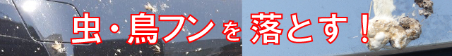 車の鳥糞や虫汚れにお悩みなら水洗車にプラスして専用のカークリーナー「虫汚れ・鳥ふんクリーナー」での早期ケア・除去がおすすめ