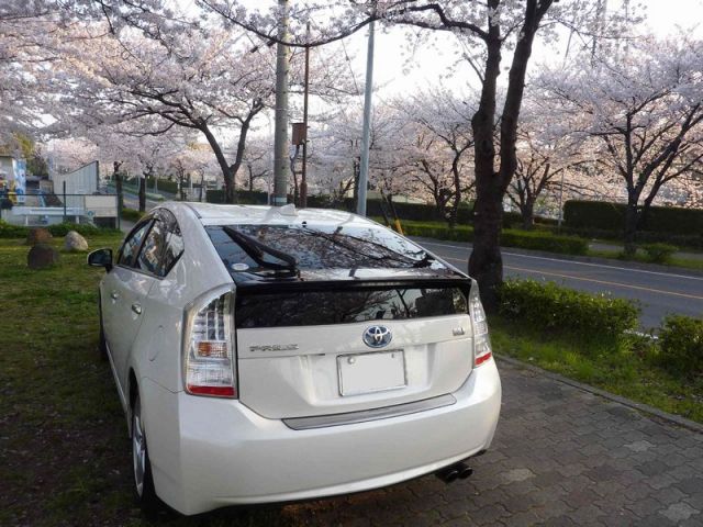 ガラスコーティング（硬化系＋繊維系）W-SHIELDを施工したトヨタ プリウス