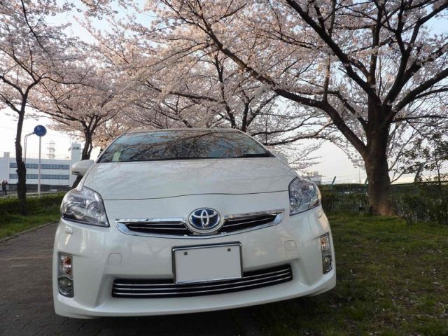 ガラスコーティング（硬化系＋繊維系）W-SHIELDを施工したトヨタ プリウス