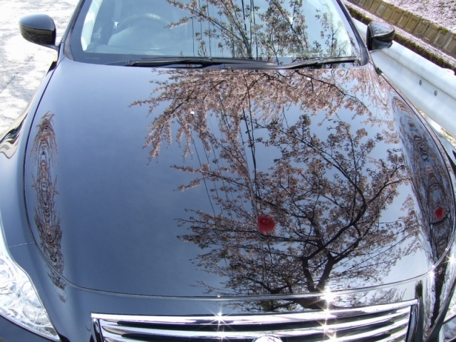 ガラスコーティングのハイブリッドナノガラスゼウスを施工されたニッサン　スカイライン