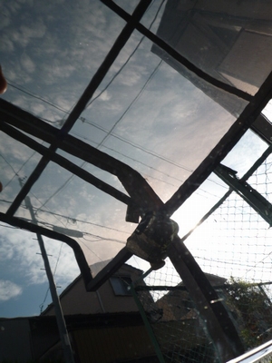 ガラスコーティングの下地処理の必需品！ハイブリッドナノガラス特製コンパウンドを施工されたトヨタ　プリウス 