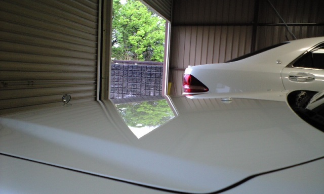 ガラスコーティング施工例　日産　シーマ　ホワイト