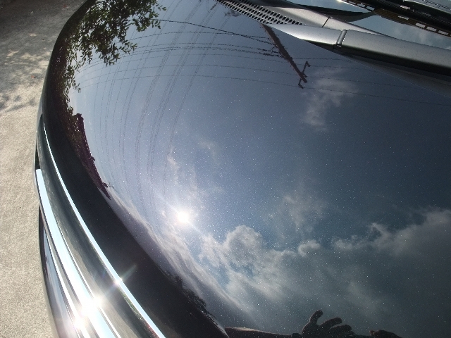 ガラスコーティング剤　車のコーティングトヨタ　エルグランド (ミスティックブラック #G30)