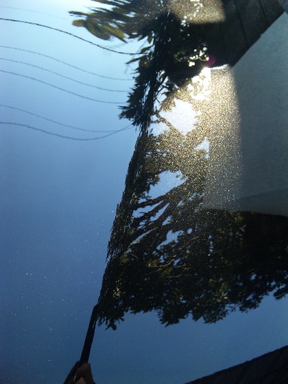 ガラスコーティングのハイブリッドナノガラスのゼウスを施工した車